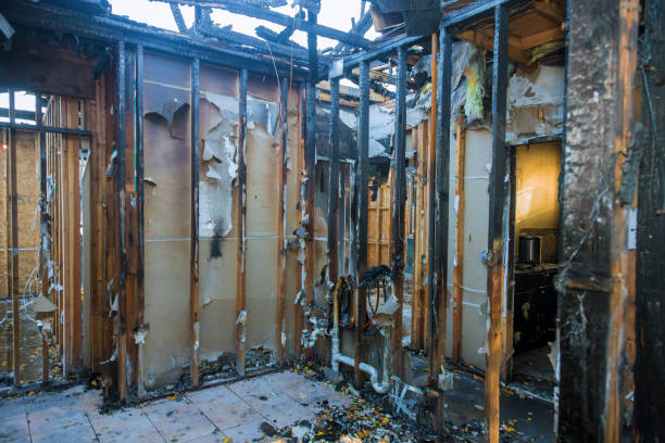 Professional Fire Damage Repair technician working in Goldstream, AK